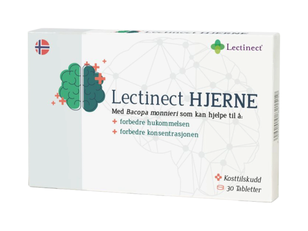Lectinect Hjerne
